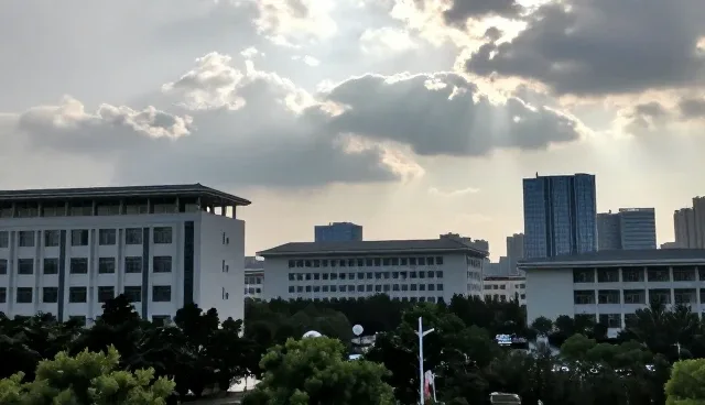 技术外包中质量把控影响效率提升的关键因素